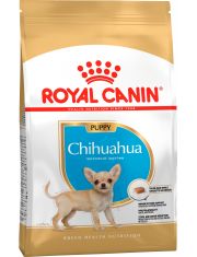 Chihuahua Puppy для щенков породы чихуахуа в возрасте до 8 месяцев 