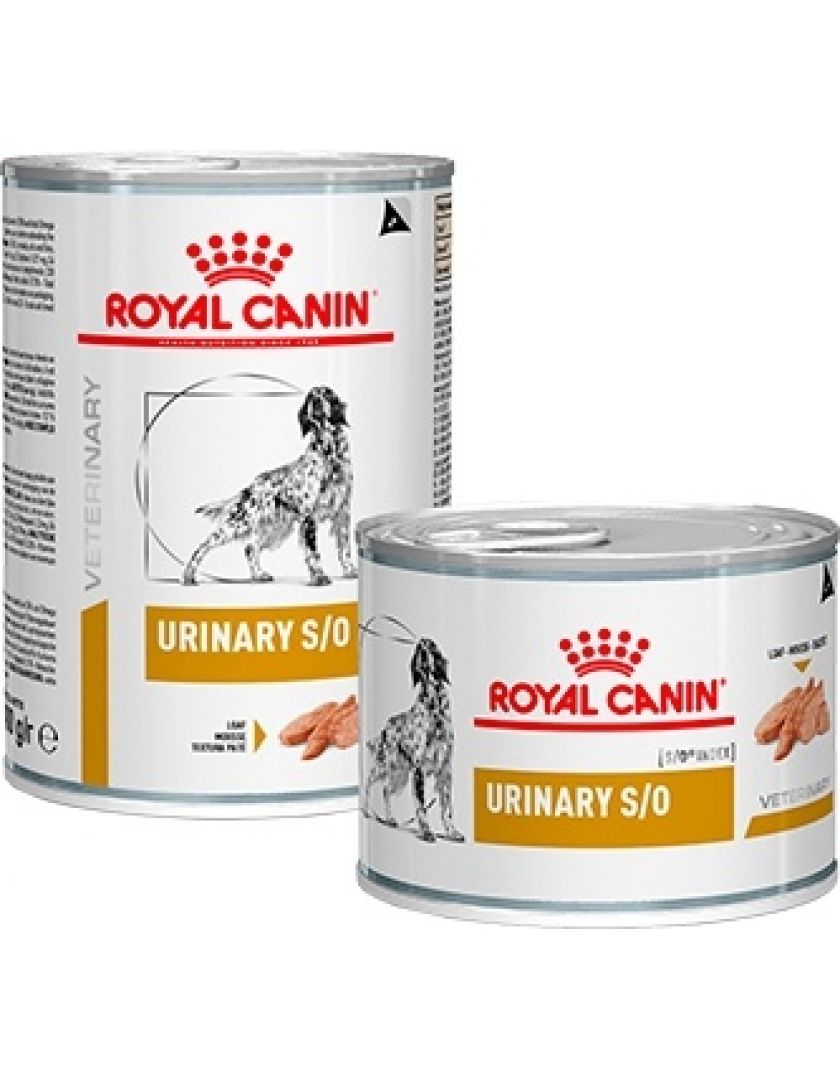 Купить корм royal canin для собак. Роял Канин Уринари s/o для собак консервы. Роял Канин консервы д/собак Уринари s/o 410 гр. Роял Канин Уринари для собак консервы. Роял Канин для собак консервы для щенков.