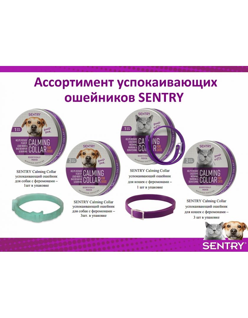 Успокаивающий ошейник для кошек. Ошейник Sentry Calming Collar для собак. Sentry Calming Collar ошейник для кошек. Sentry Calming Collar ошейник для собак успокаивающий с феромонами. Ошейник успокаивающий для кошек Sentry.