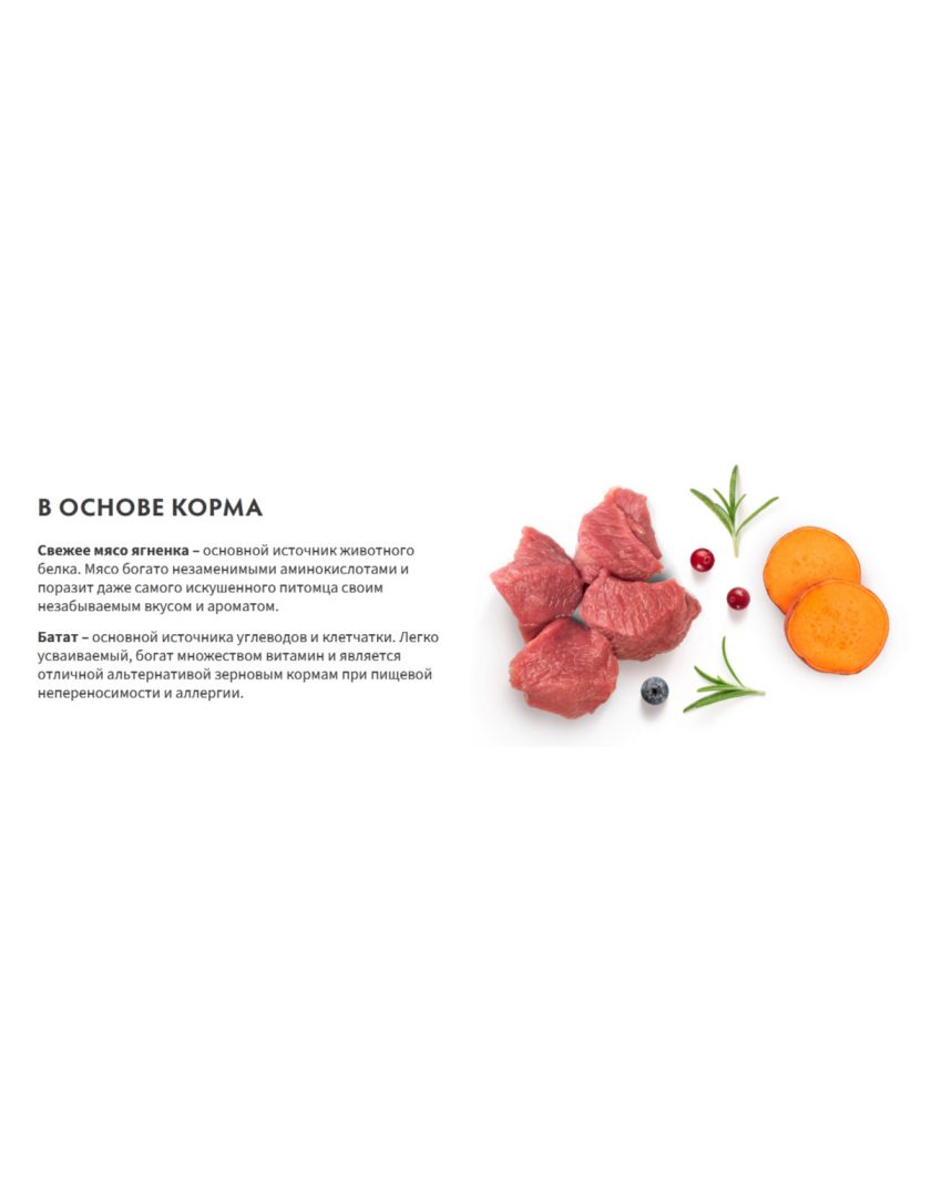 Сухой Беззерновой корм Grandorf Fresh с живыми пробиотиками для юниоров  средних и крупных пород с 4 месяцев, беременных и кормящих собак,Свежее мясо  ягненка с бататом в Нижнем Новгороде